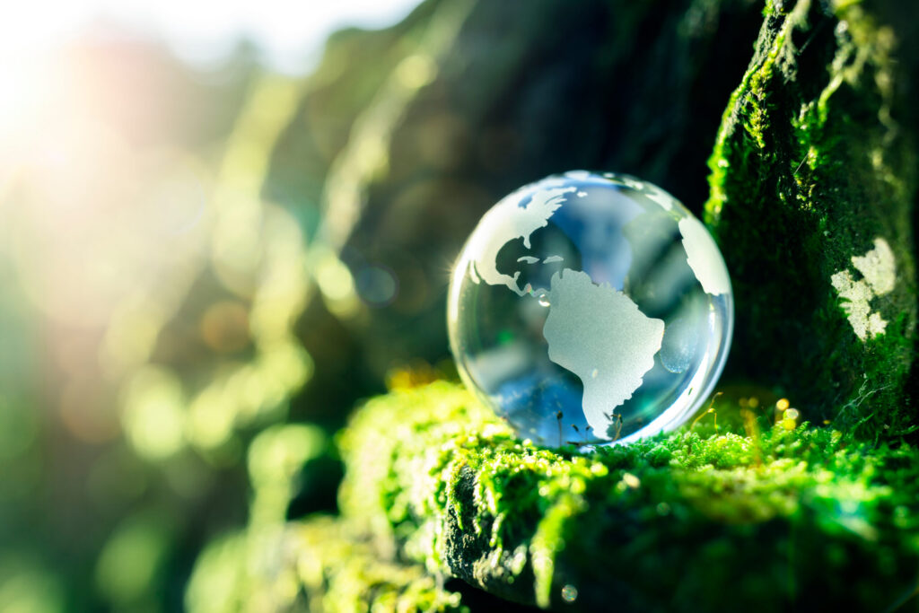 vehicle remapping environmental benefits